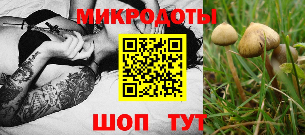 Галлюциногенные грибы мицелий Волхов