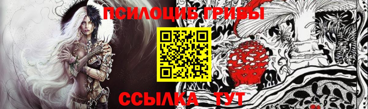 Галлюциногенные грибы Psilocybe  Псилоцибиновые грибы мухоморы  Вход с VPN  Волхов 